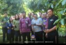 Turut Dukung Pengendalian Inflasi, Dinas Kominfos Bali Laksanakan Aksi Gerakan Tanam Pangan Cepat Panen